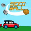 seedball